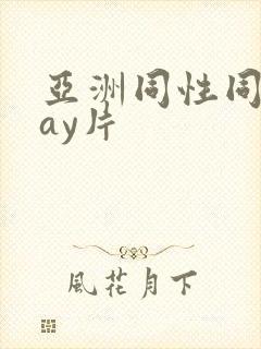 亚洲同性同志gay片