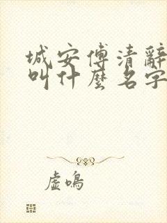 城安傅清辞小说叫什么名字