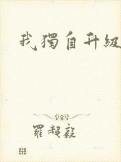 我独自升级小说