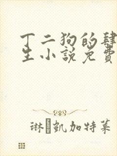 丁二狗的肆意人生小说免费阅读