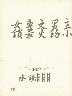 女尊文男主戴贞锁最火的小说