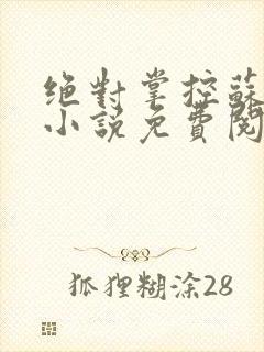 绝对掌控苏绵绵小说免费阅读全文封面