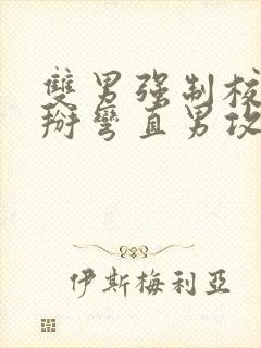 双男强制校园受掰弯直男攻