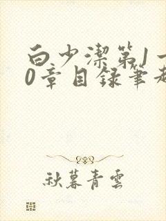 白少洁第1一40章目录笔趣阁封面