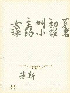 女主叫初夏顾霆琛的小说名字