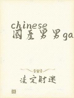 chinese国产男男gaygay网站