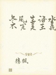 冬风生洛水po不完美主义者笔趣阁封面