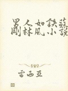 男人如铁苏柔赵刚林风小说