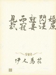 见面就闪婚,总裁宠妻没原则