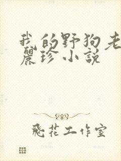 我的野狗老公白丽珍小说