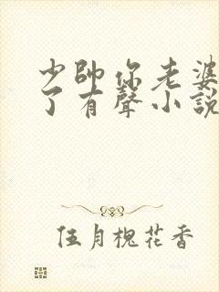 少帅你老婆又跑了有声小说免费听