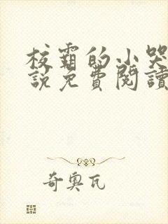 校霸的小哭包小说免费阅读