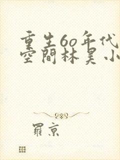 重生6o年代带空间林昊小说