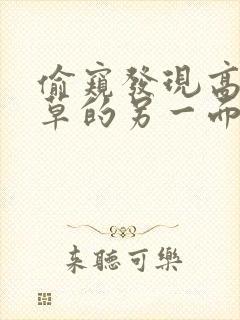 偷窥发现高冷校草的另一面小说简介