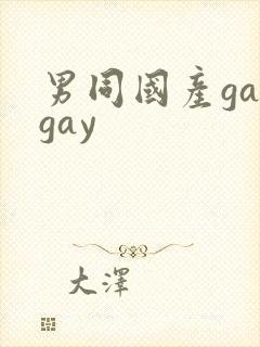 男同国产gaygay