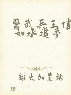 医武兵王俏总裁 如水追梦封面