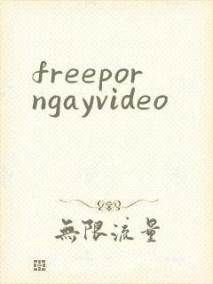 freeporngayvideo