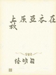 上原亚衣在线播放