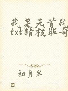 我是元首我怕谁txt精校版奇书网