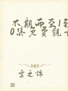 不期而至1到40集免费观看电视剧