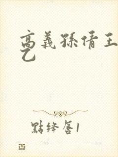 高义孙倩王申王乙封面