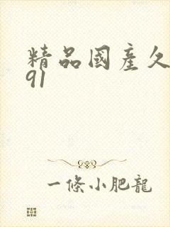 精品国产久久久91