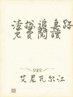 渣总追妻路漫漫免费阅读