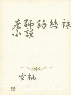 老师的丝袜美腿小说