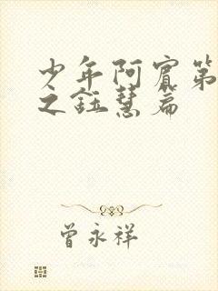 少年阿宾第二部之钰慧篇