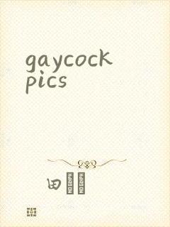 gaycockpics