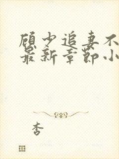 顾少追妻不要脸最新章节小说免费阅读