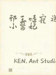 邪王嗜宠 逆天小医妃封面