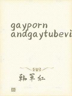 gaypornandgaytubevideos