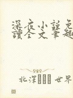 深夜小说免费阅读全文笔趣阁封面