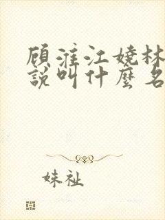 顾淮江娆林澈小说叫什么名字