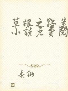 草根之路叶泽涛小说免费阅读全文无弹窗