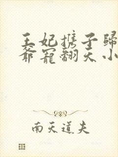 王妃携子归来王爷宠翻天小说封面