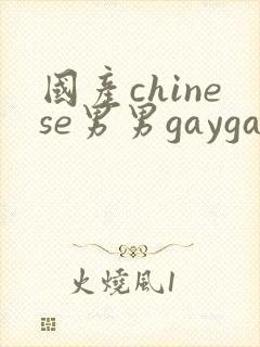 国产chinese男男gaygay网站网约