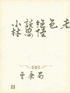 小说绝色老板娘林思佳