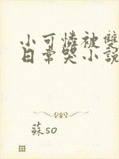 小可怜被双胞胎日常哭小说免费阅读