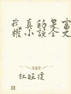 我真的是富豪赵权小说全文免费阅读