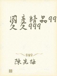 国产精品99久久久999