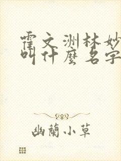 霍文洲林妙小说叫什么名字