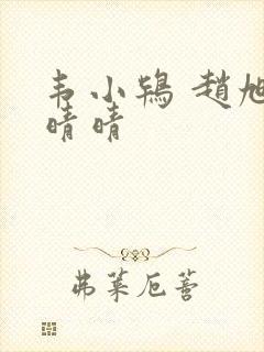 韦小鸨 赵旭李晴晴封面