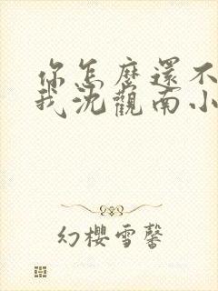 你怎么还不来哄我沈观南小说免费阅读封面