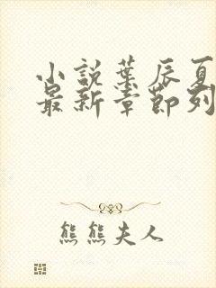 小说叶辰夏若雪最新章节列表最封面