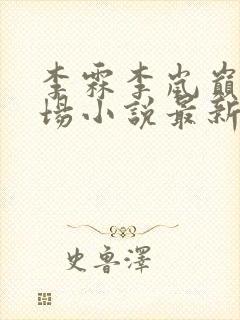 李霖李岚巅峰官场小说最新章节更新