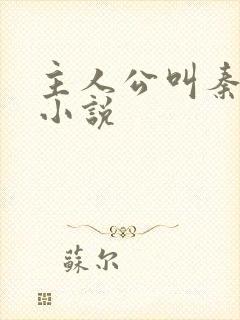 主人公叫秦齐的小说封面