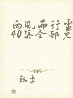 向风而行电视剧40集全部免费观看