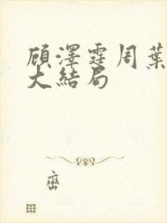 顾泽霆周叶番外大结局